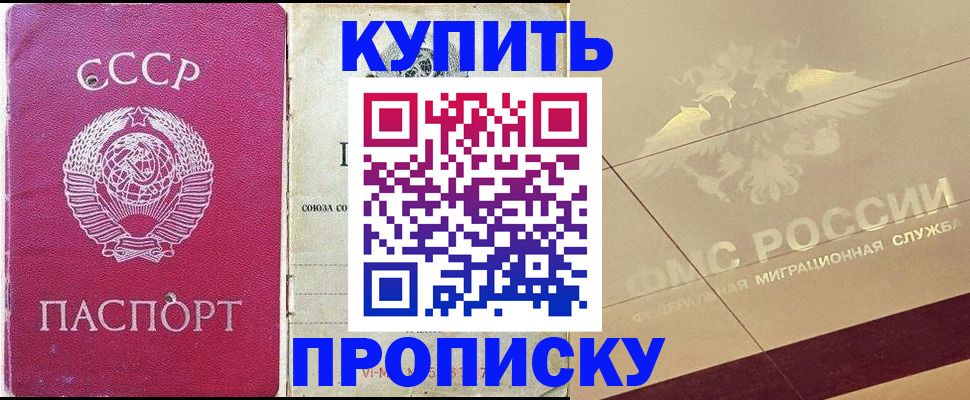 прописка для школы в Порхове